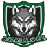 Acambaro FC 队徽